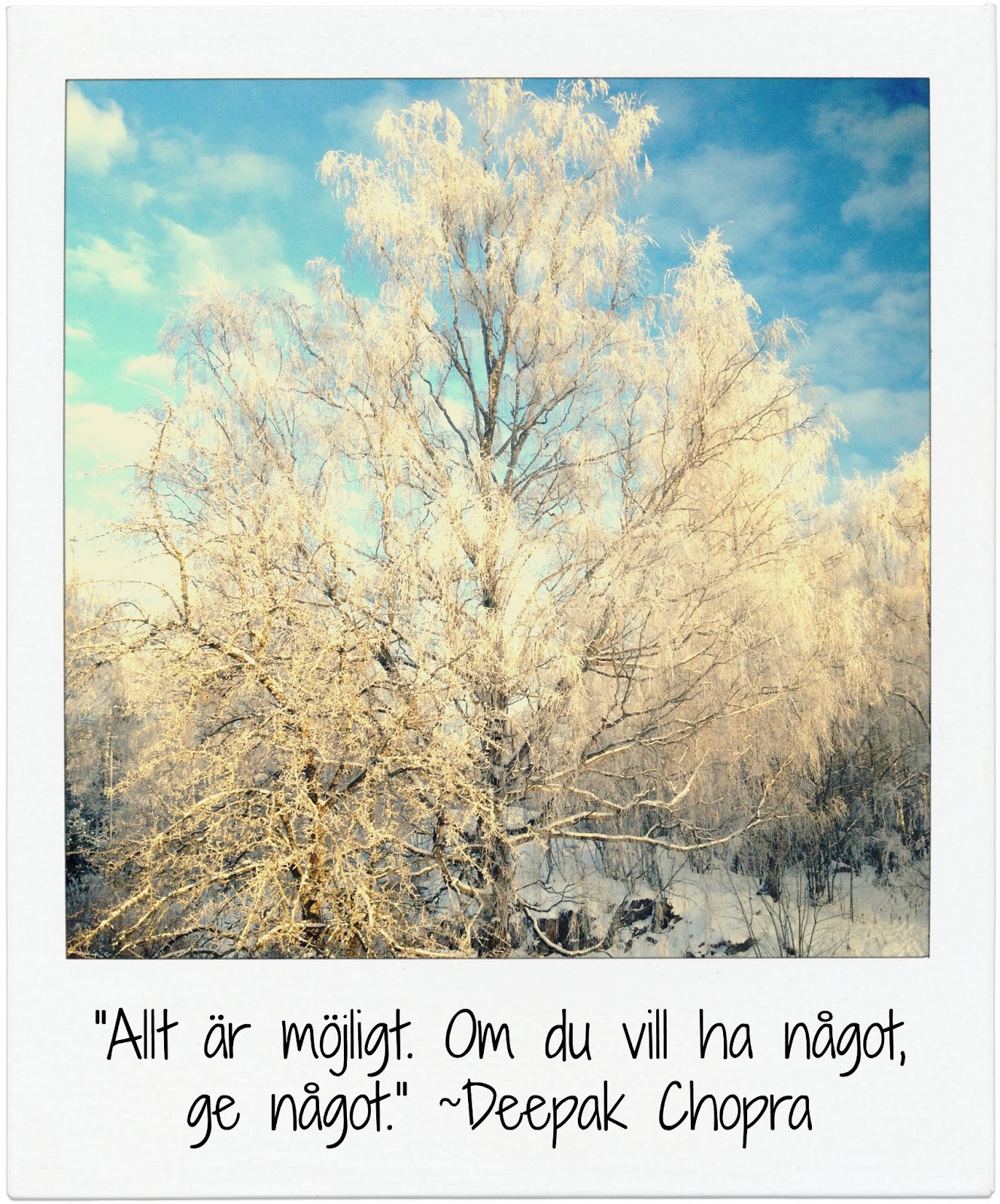 citat om träd citat om träd